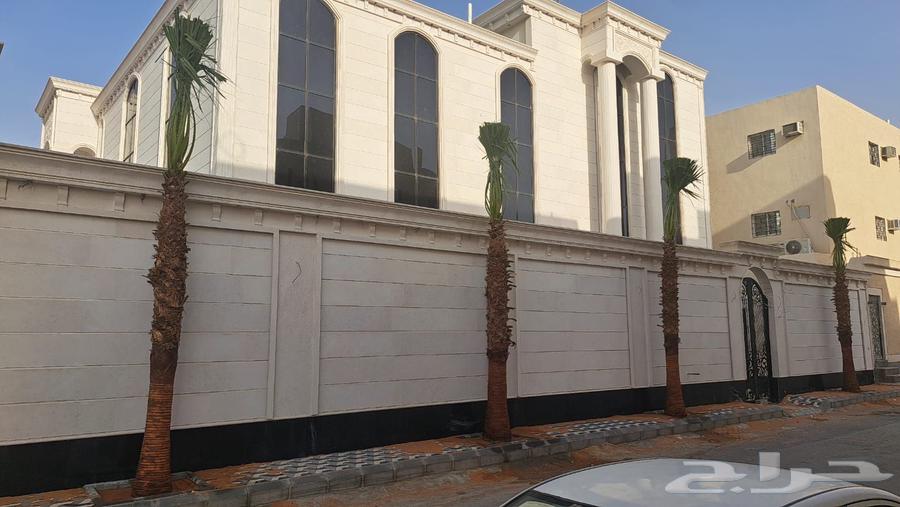 نخل واشنطن زينه أمريكي للبيع والتوصيل يشمل جميع أنحاءالمملكه64228464409347114