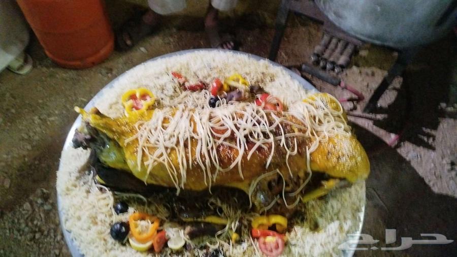 طباخ متنقل بكامل المعاميل64239759635201114