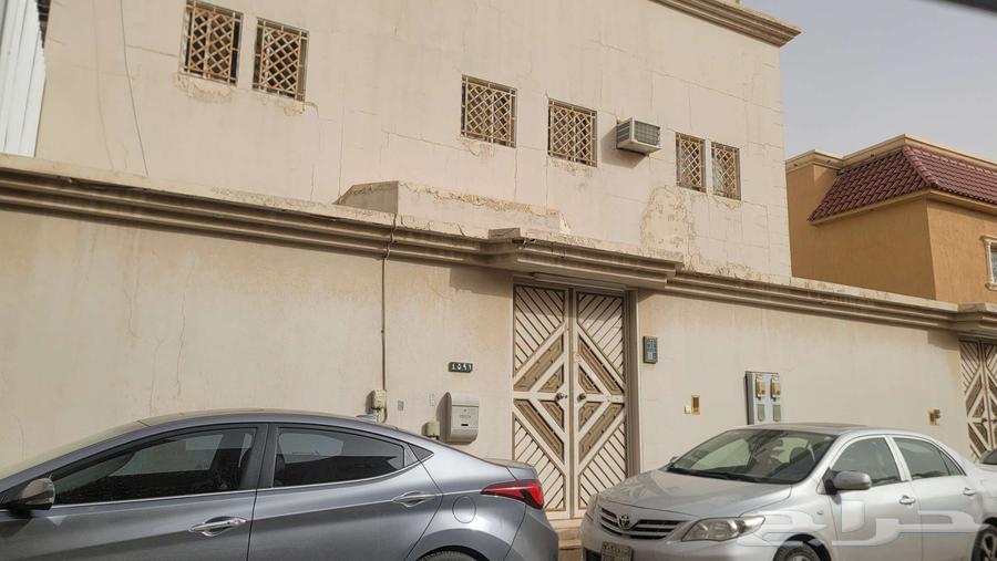 Building Restoration, Decorations, and Painting64228824308739110