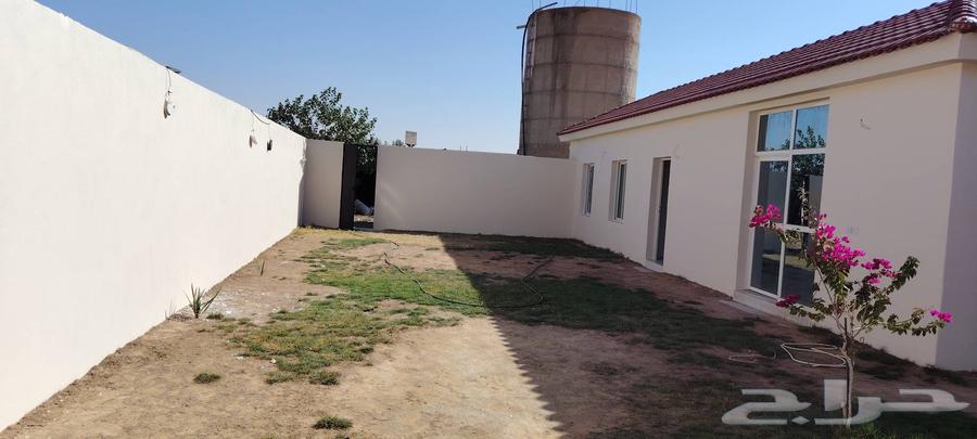 دهان بويه في حي الرفيعه وفي جميع احيا الرياض64228274551683112