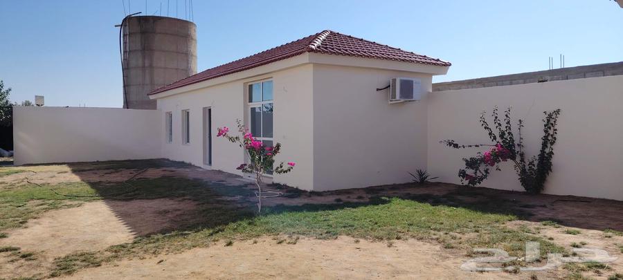 دهان بويه في حي الرفيعه وفي جميع احيا الرياض64228274551683114