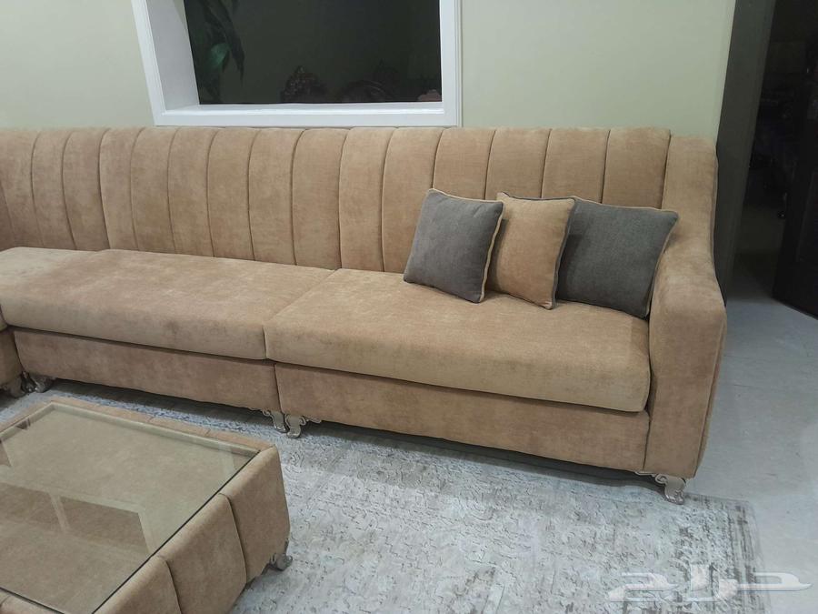 Upholstery and tailoring of sofas, councils, and mattresses at the same location64229183635842112
