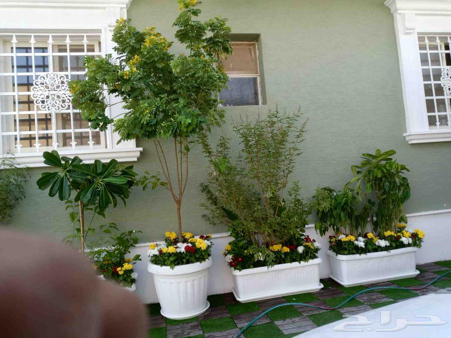 تنسيق حدائق جوال64229181131650111