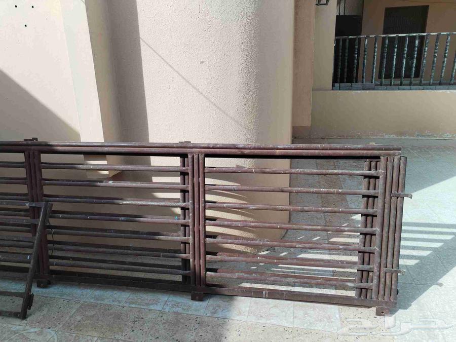 للبيع شبك دينا حجم 6 متر64229183877121113