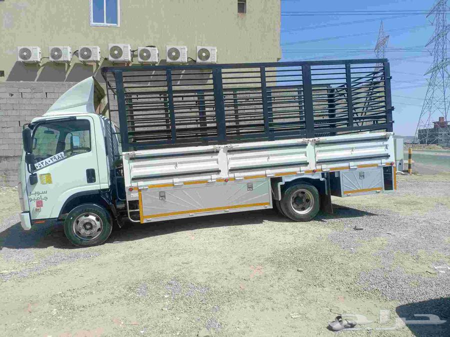 يوجد لدينا دينه في جده طولها 5 متر ونص على اي اتجاه64228464989441110