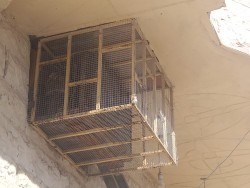 Pigeon Repeller64229555836929111