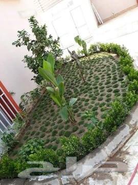 Jeddah and Makkah landscape coordinator, natural grass planting, irrigation networks, approximately64229181688705111