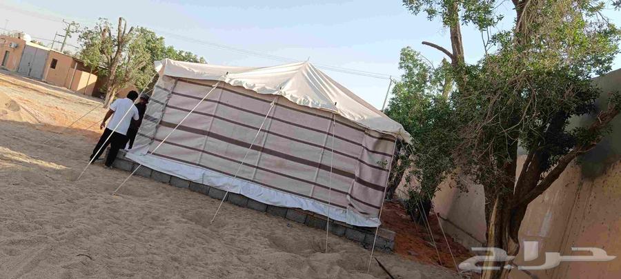 تركيب خيام بيوت شعر64226081685635110