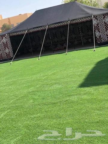 بناء بيوت شعر وخيام64229016659715110