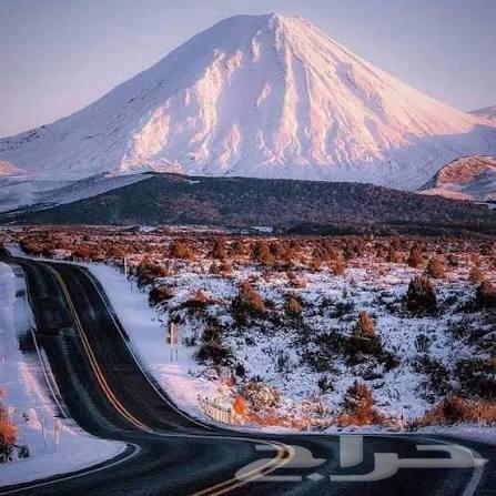 كداد توصيل من تبوك إلى جده64229382662913110