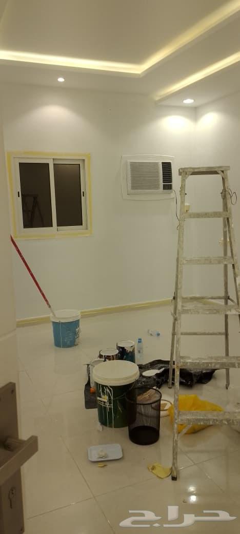 شغل بويات صباغ دهان64228465986689113