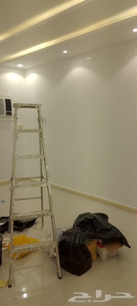 شغل بويات صباغ دهان64228465986689111