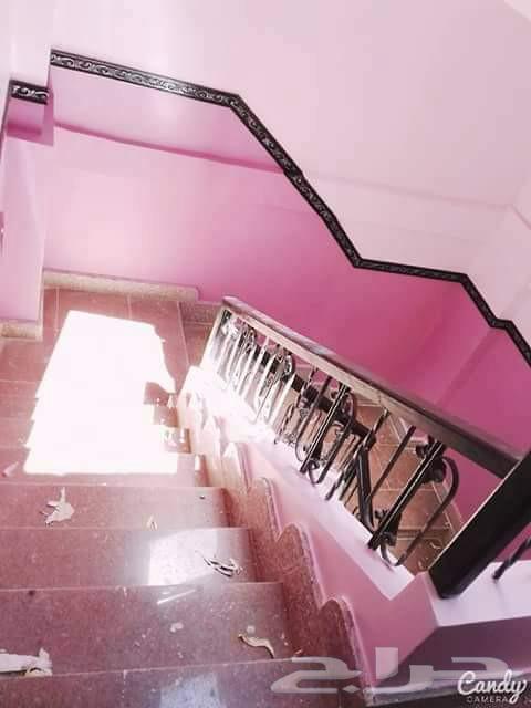 دهانات حوائط ديكورات اخشاب داخلي خارجي64228637418881111