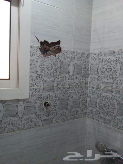 Water Leak Detection for Bathrooms, Tanks, Moisture, Swimming Pools64225863026562112