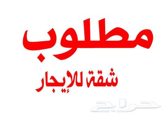 مطلوب شقه مفروشه للايجار شهري64228266106243110