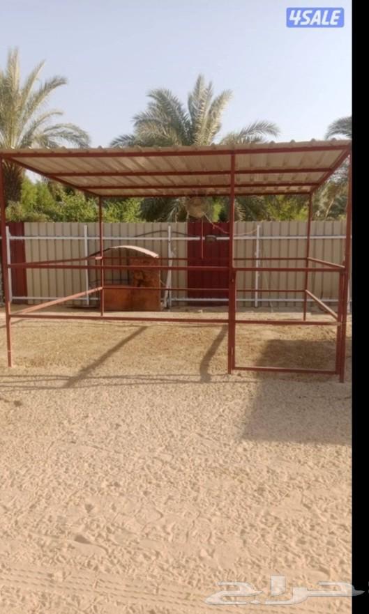 حداد شينكو ومظلات وسندويش بانل وتحويشات64228464280323114