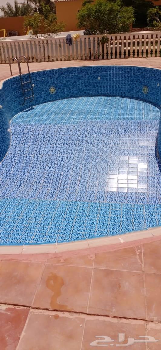 جلي بلاط تلميع رخام64229385739778113