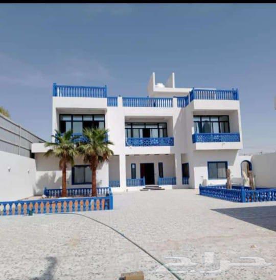 معلم دهانات الرياض البوكسي الرياض64228465870593112