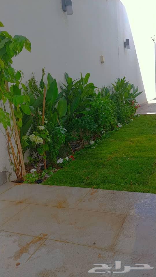 تنسيق حدائق بنواعها64228463204866110