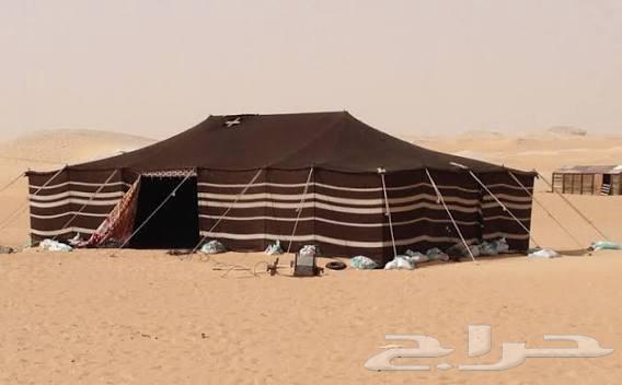 تركيب خيم وبيت سعر وفك وتركيب الخيام بريده64229386034818114