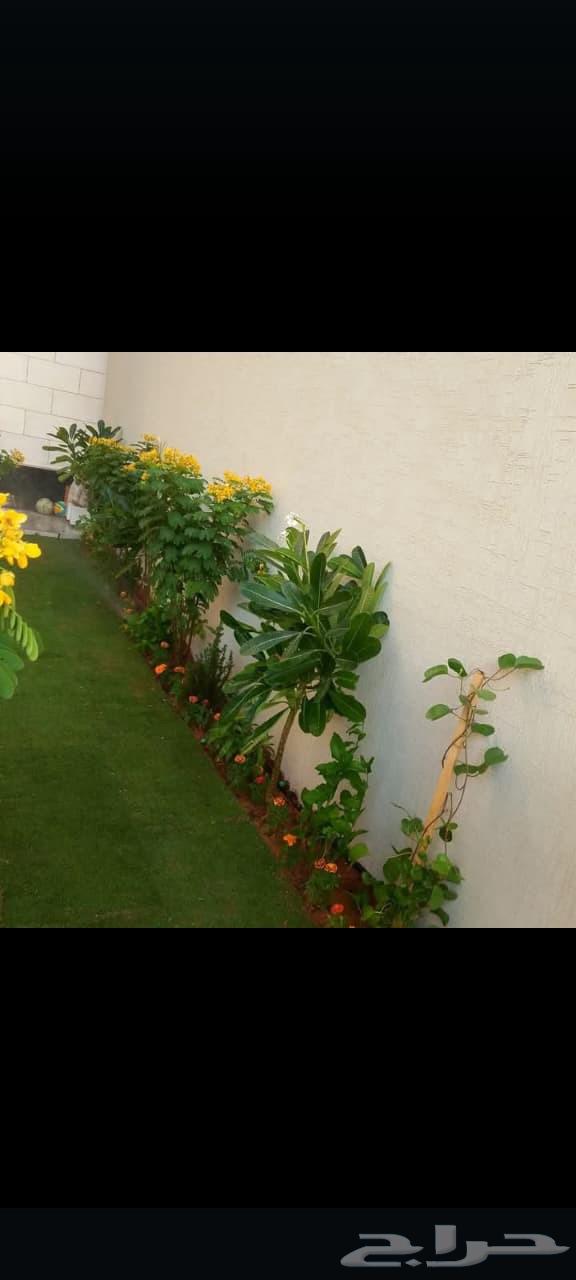 Trees and garden planting64228466819075112