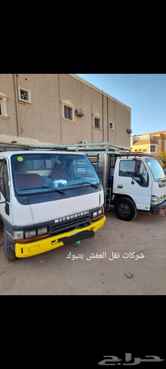 شركة نقل عفش بتبوك64228274042113110