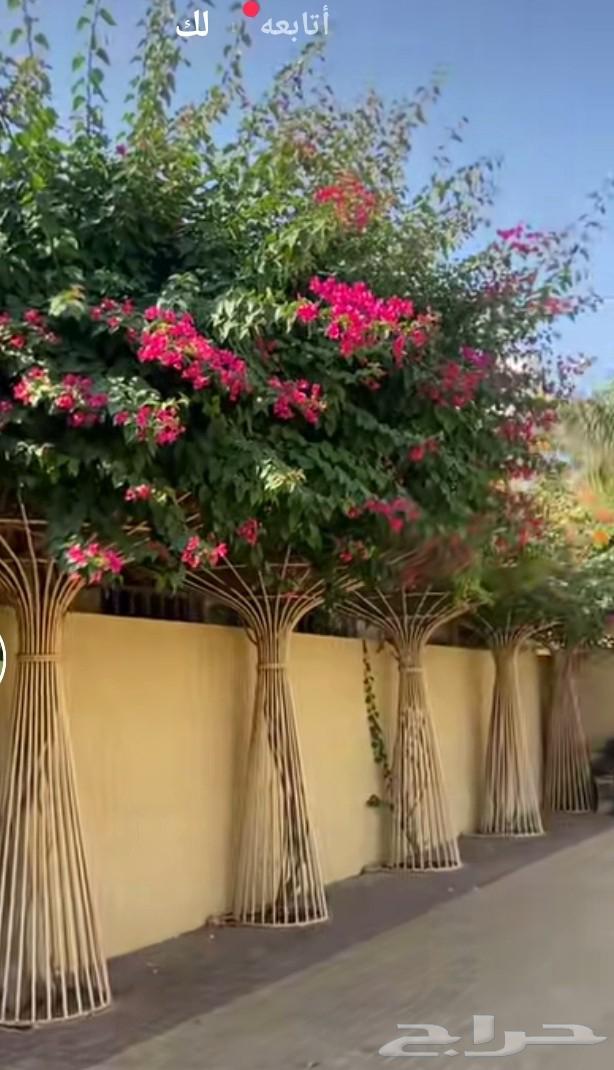 تنسيق حدائق بنواعها64228463204866113