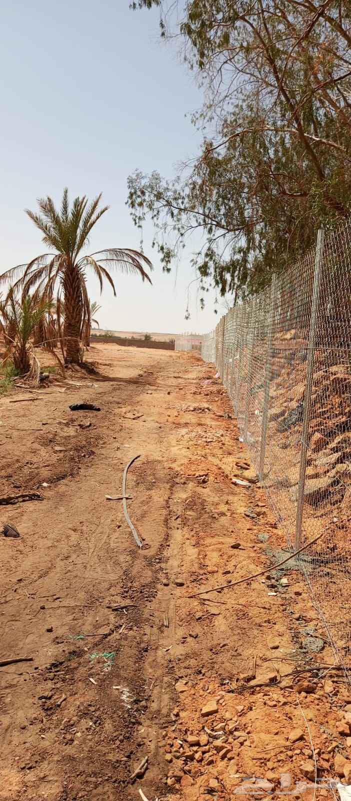 Abu Menir for General Contracting and Installation of All Types of Fencing and Shades64229183702019113