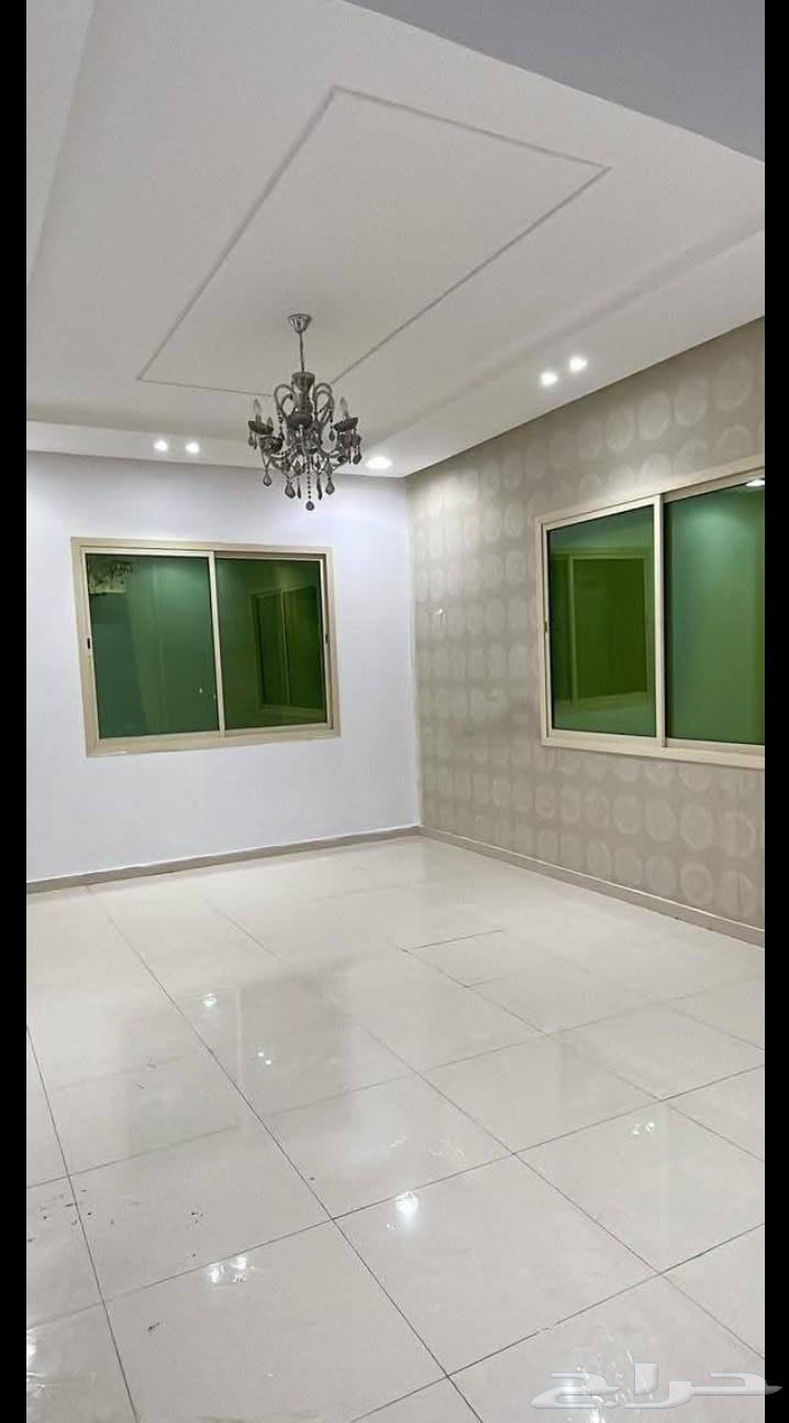 سلامي  بلاط بناء تليس ت سير ترميم64228272617346111