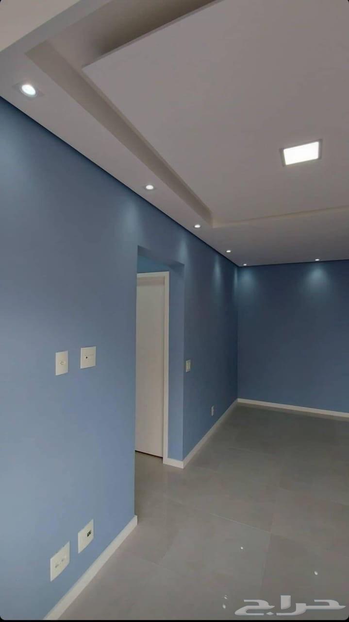 معلم دهانات ع كيفك وشغل 100ف ال100 احدث الدهانات64228826391682111