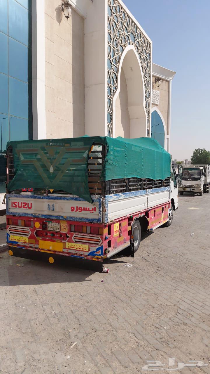 Furniture Moving with Disassembly and Assembly64228638982529110