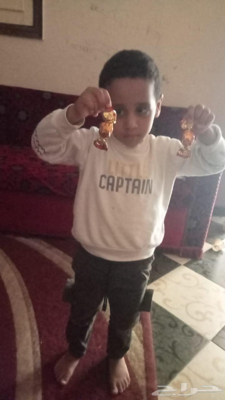 Arabic language teacher for foundational education and follow-up, Arabic language for all levels64229183830146113