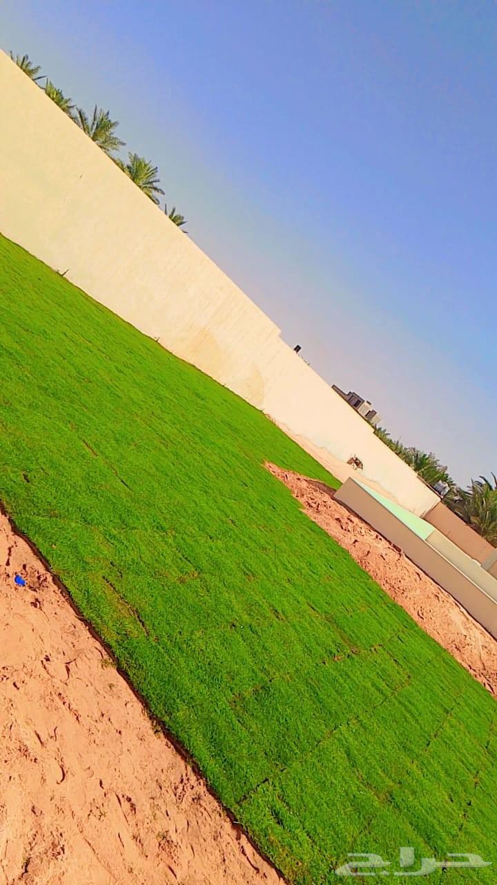 منسق حدائق القصيم64229183456258114