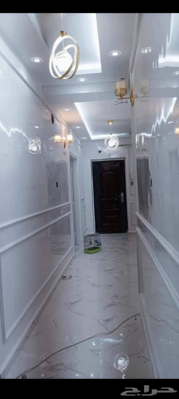 Painting Master for Contact Only via Messages64229384019457114