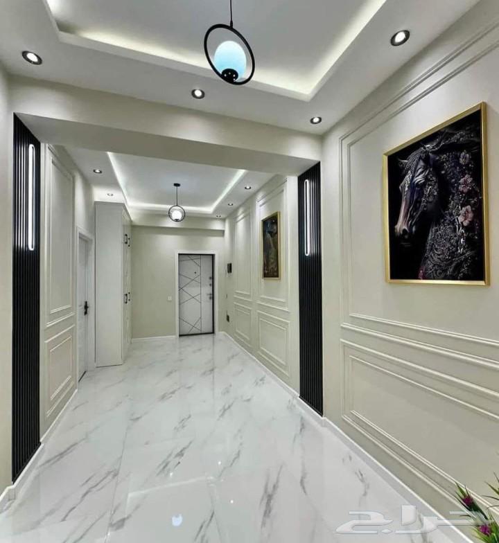 معلم دهانات ديكورات ورق جدران شيبورد جبسون بورد64229018017537110