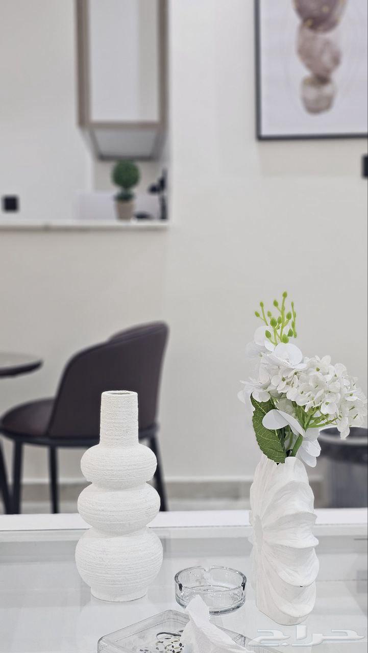 شقه بغرفة نوم وصاله انيقه ودخول ذاتي64228628145795112