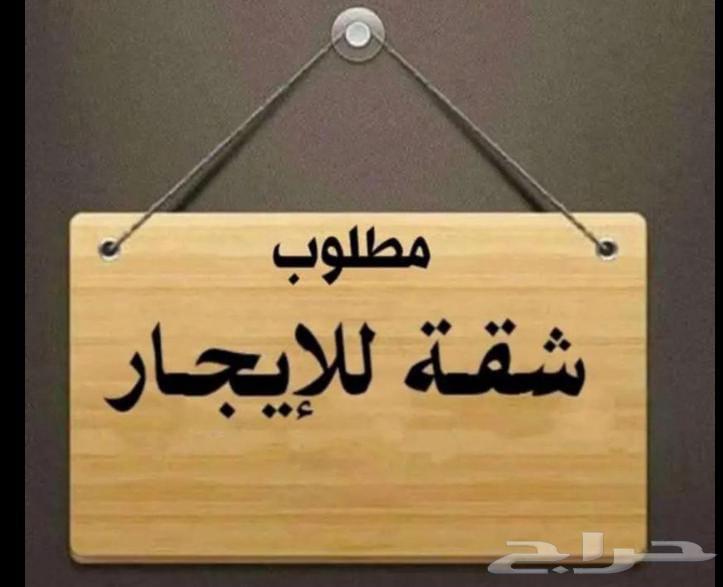 احتاج شقه للايجار في الخمره حي الفضيله64225442808579110