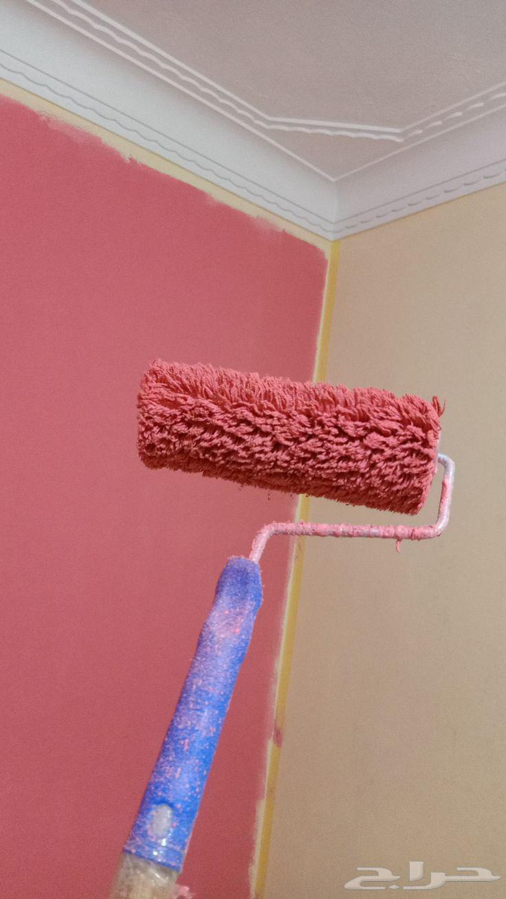 دهان معلم دهانات جدة64228464370690113