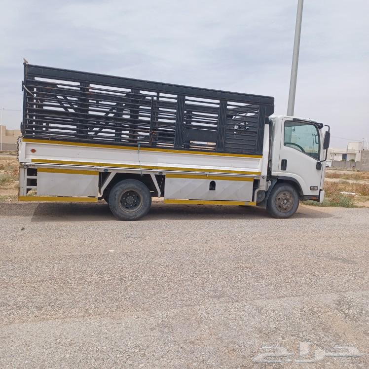 دينا لنقل الأثاث64239967230081110