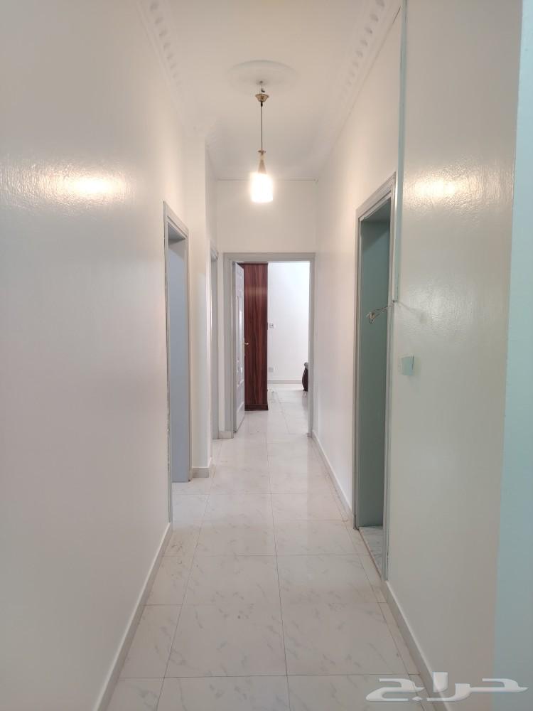 دهان جده معلم بويه جده معلم دهانات ديكورات64228272946691114