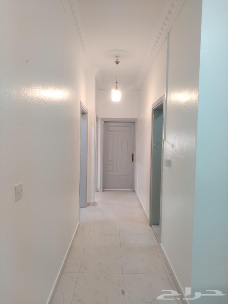 دهان جده معلم بويه جده معلم دهانات ديكورات64228272946691113