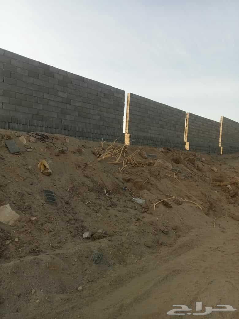 معلم بنا وتلييس ومرمات64239968280833113