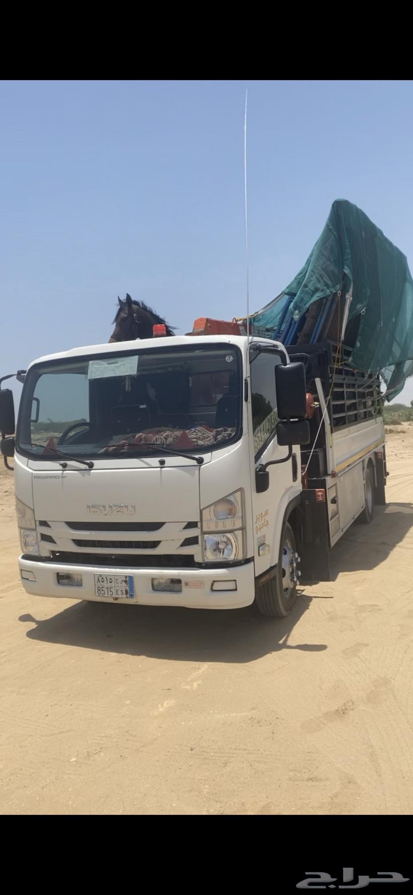 دينا دنه ونش رافعه هدروليك64229183068673112