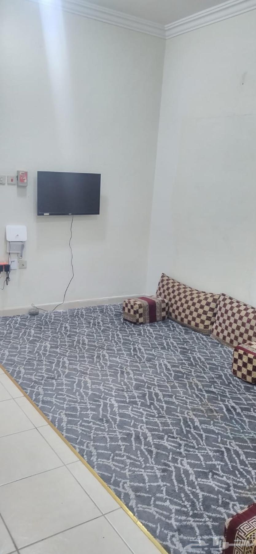 شقه مفروشه عزاب شرق الرياض64228628504579110