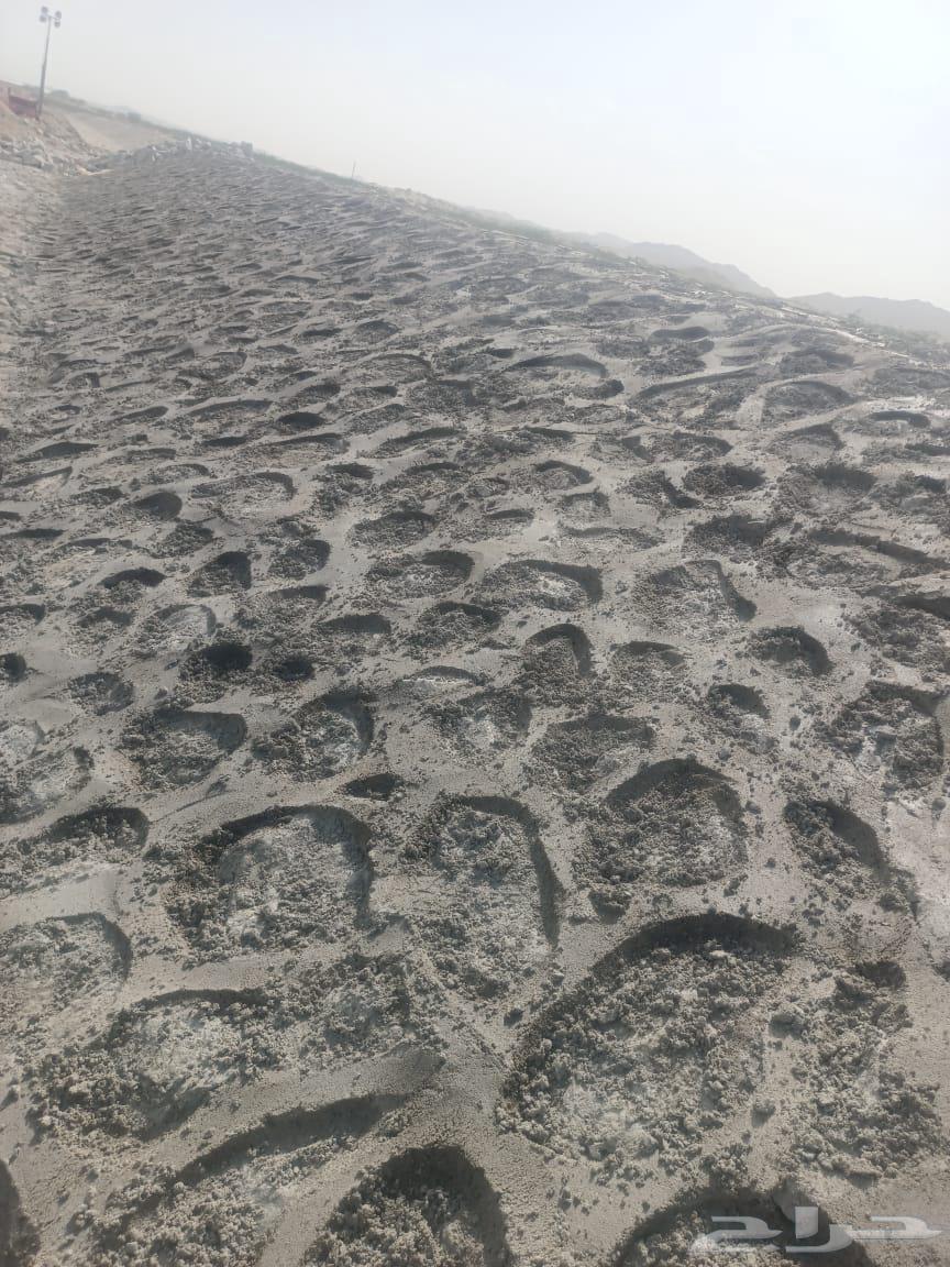 Ashfaq Hussain64239968792578110