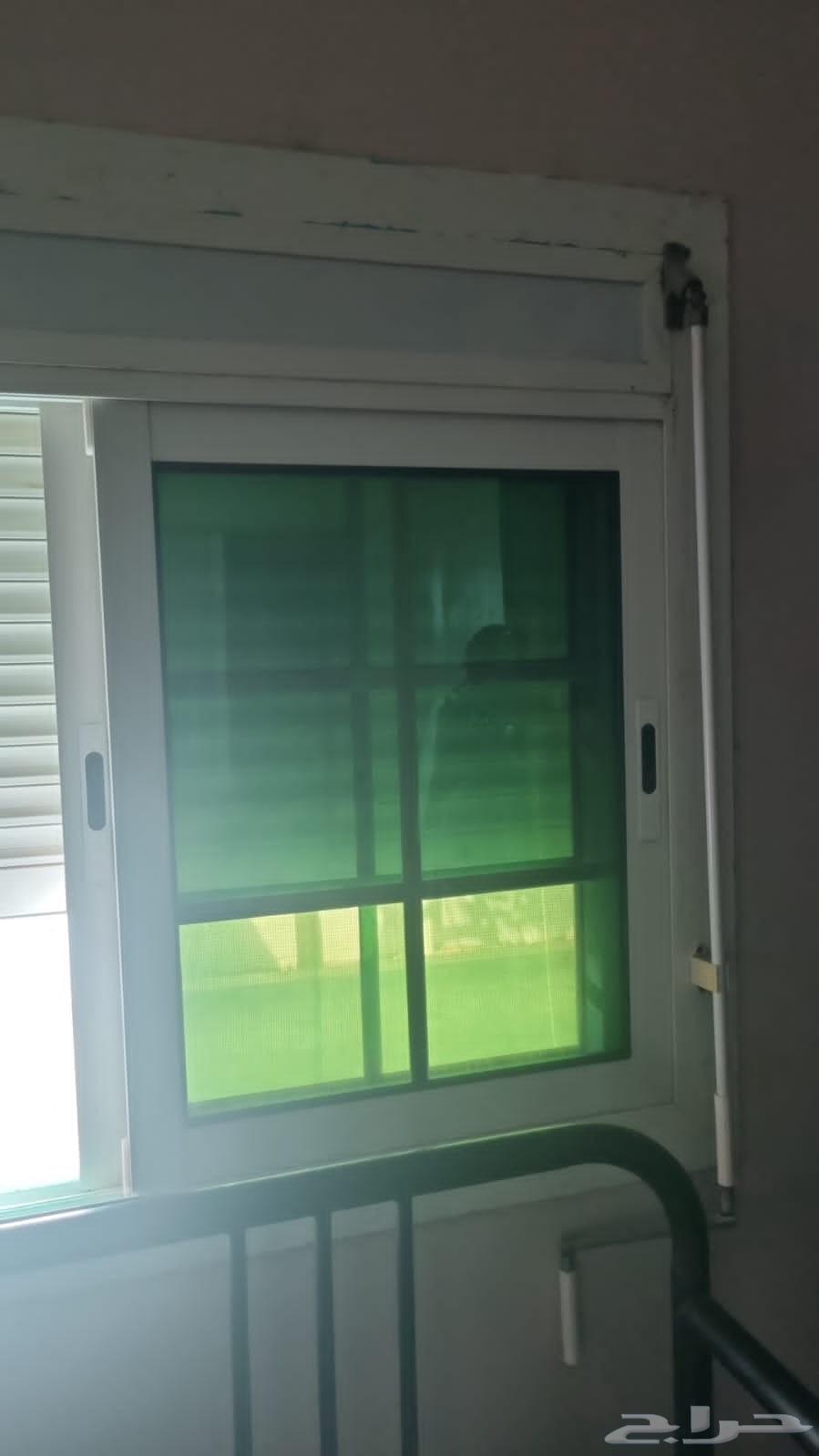 مؤسسة ابتسام محمد بن ناصر عسيري64229180971523113