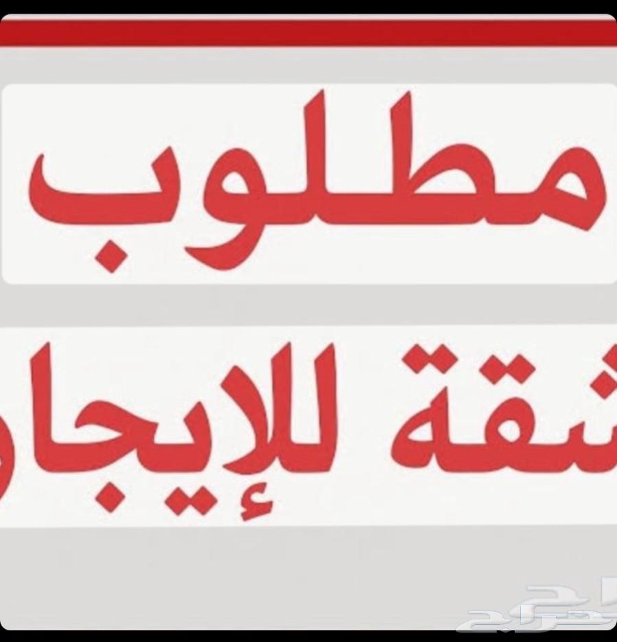 مطلوب شقه دور ارضي بحي القدس او النخيل64228458573569110