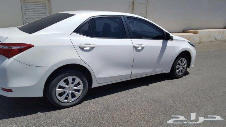 توصيل مشاوير شهري شراف السمراء الزبارة التلفزيون64228827122178110