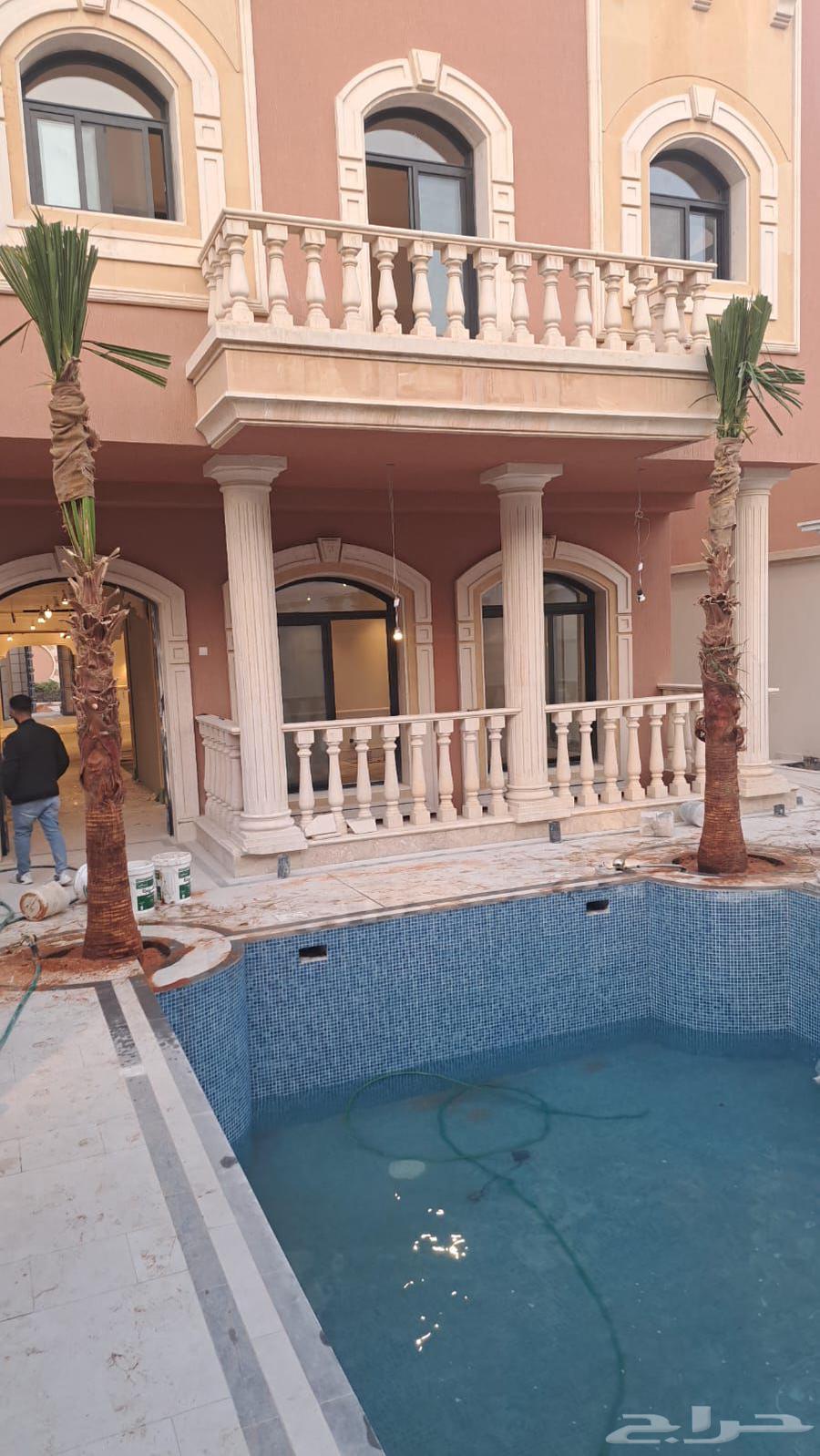 نخل واشنطن زينه أمريكي للبيع والتوصيل يشمل جميع أنحاءالمملكه64228464409347113