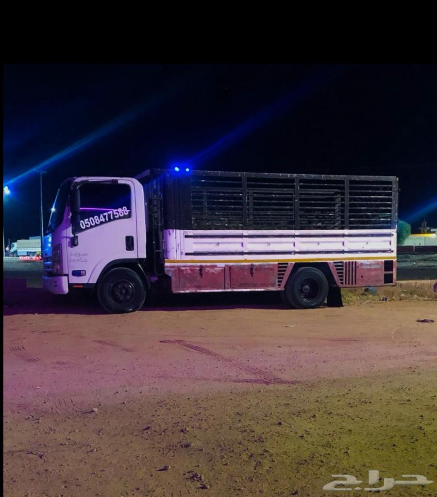 دينا نقل توصيل من حائل الى جميع المناطق64229183133826110